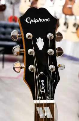 Epiphone - EEDVVBNH 2